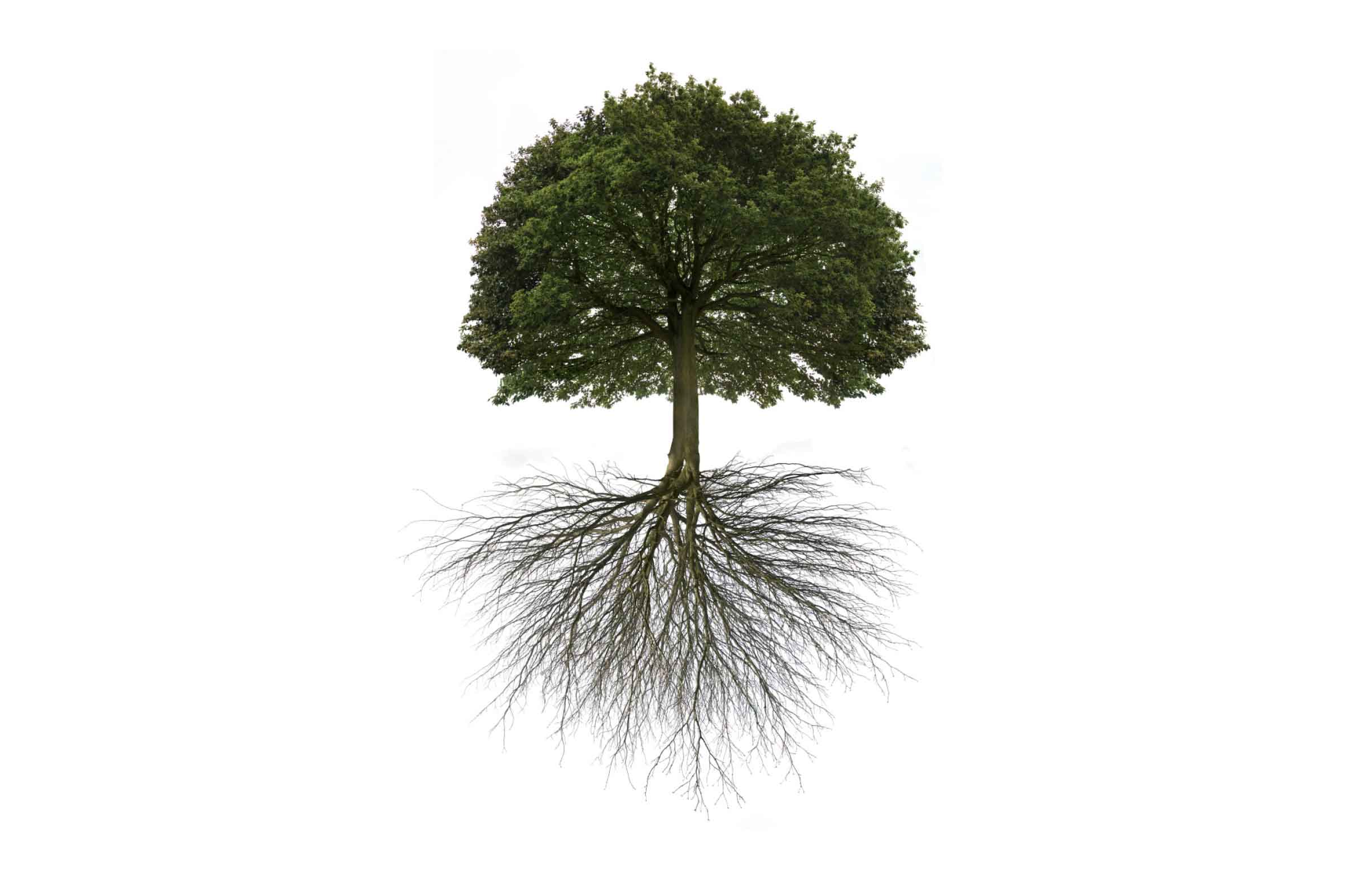 oak_what_we_believe